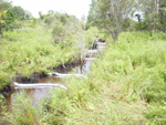 Image of a stream of murky water